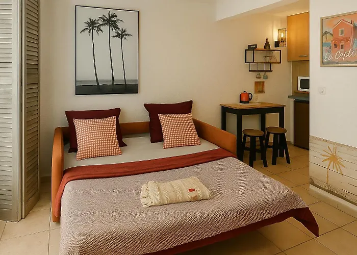 Flamant Rose - Climatise Avec Terrasse, A 150 M