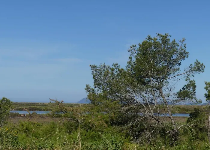 Flamant Rose - Climatise Avec Terrasse, A 150 M * Hyères