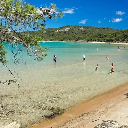 Flamant Rose - Climatise Avec Terrasse, A 150 M Apartment *