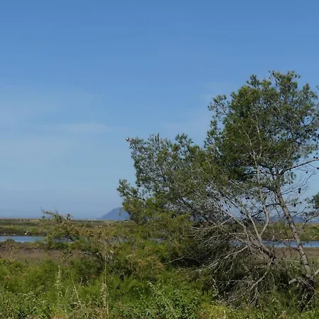 Flamant Rose - Climatise Avec Terrasse, A 150 M * Hyères