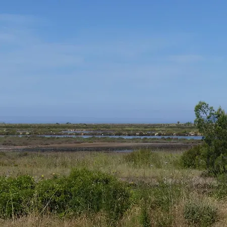 Apartment Flamant Rose - Climatise Avec Terrasse, A 150 M
