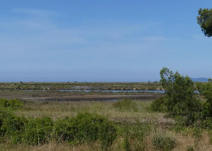 Apartment Flamant Rose - Climatise Avec Terrasse, A 150 M